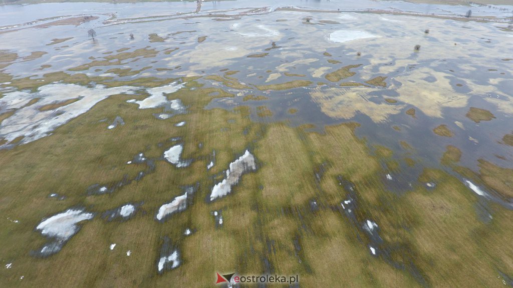 Rozlewiska rzeki Omulew w miejscowości Gleb [01.03.2021] - zdjęcie #14 - eOstroleka.pl