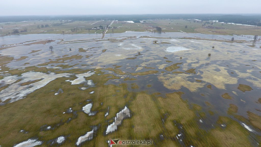 Rozlewiska rzeki Omulew w miejscowości Gleb [01.03.2021] - zdjęcie #41 - eOstroleka.pl