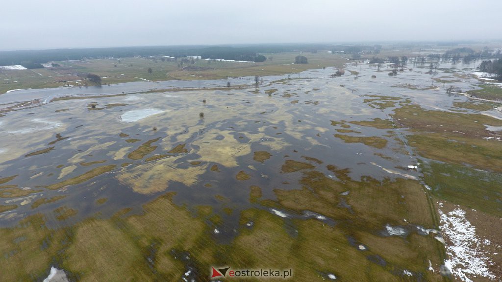 Rozlewiska rzeki Omulew w miejscowości Gleb [01.03.2021] - zdjęcie #42 - eOstroleka.pl