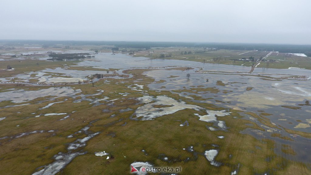 Rozlewiska rzeki Omulew w miejscowości Gleb [01.03.2021] - zdjęcie #43 - eOstroleka.pl