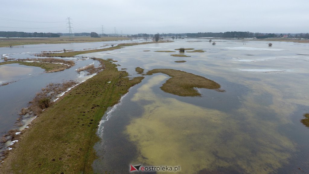Rozlewiska rzeki Omulew w miejscowości Gleb [01.03.2021] - zdjęcie #44 - eOstroleka.pl