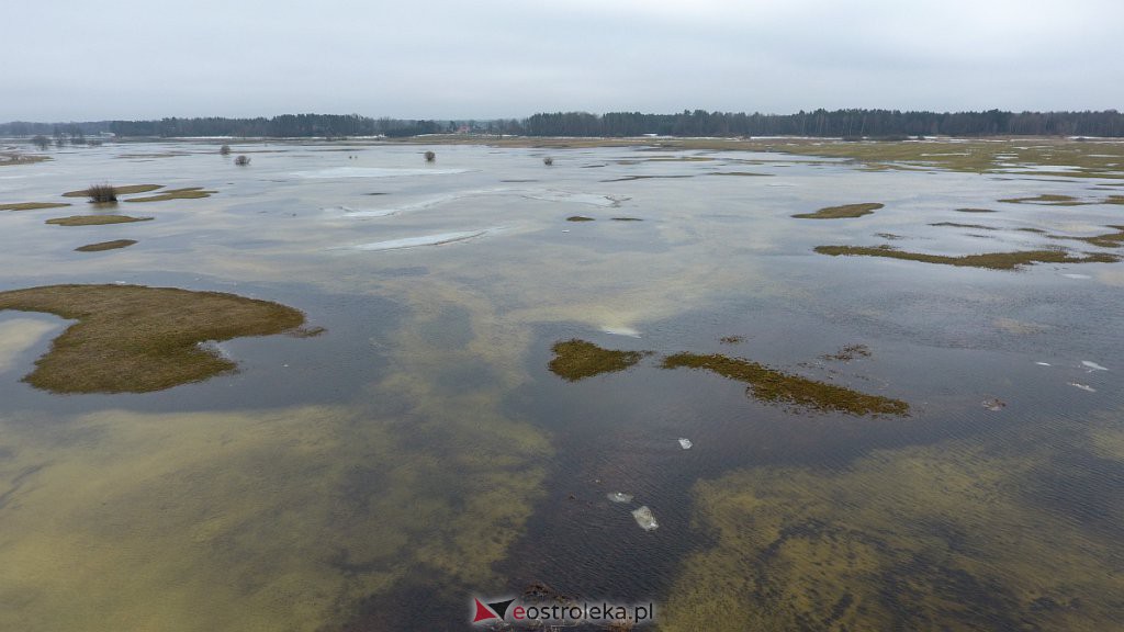 Rozlewiska rzeki Omulew w miejscowości Gleb [01.03.2021] - zdjęcie #9 - eOstroleka.pl