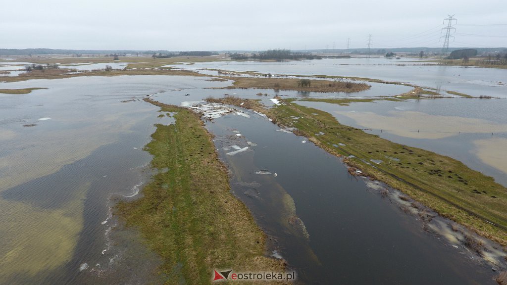 Rozlewiska rzeki Omulew w miejscowości Gleb [01.03.2021] - zdjęcie #47 - eOstroleka.pl
