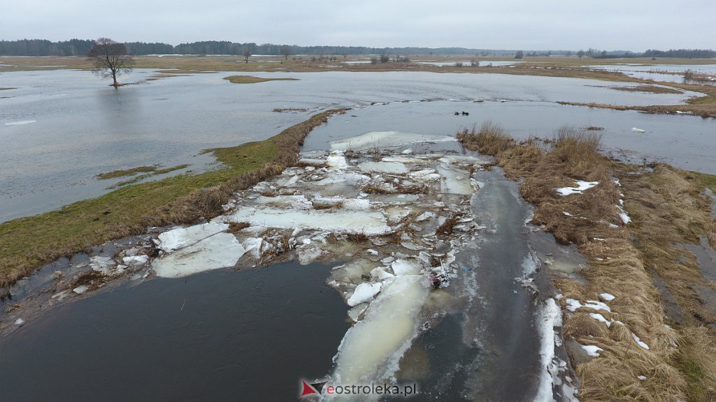 Rozlewiska rzeki Omulew w miejscowości Gleb [01.03.2021] - zdjęcie #48 - eOstroleka.pl