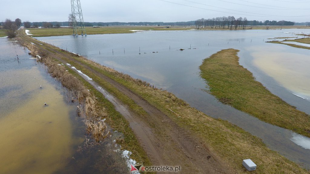 Rozlewiska rzeki Omulew w miejscowości Gleb [01.03.2021] - zdjęcie #51 - eOstroleka.pl