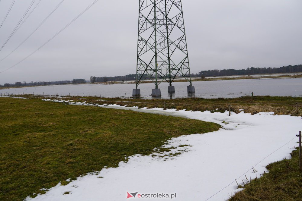 Rozlewiska rzeki Omulew w miejscowości Gleb [01.03.2021] - zdjęcie #2 - eOstroleka.pl