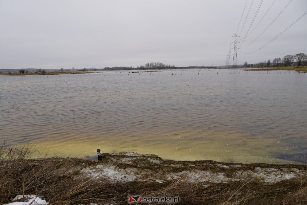 Rozlewiska rzeki Omulew w miejscowości Gleb [01.03.2021] - zdjęcie #3 - eOstroleka.pl