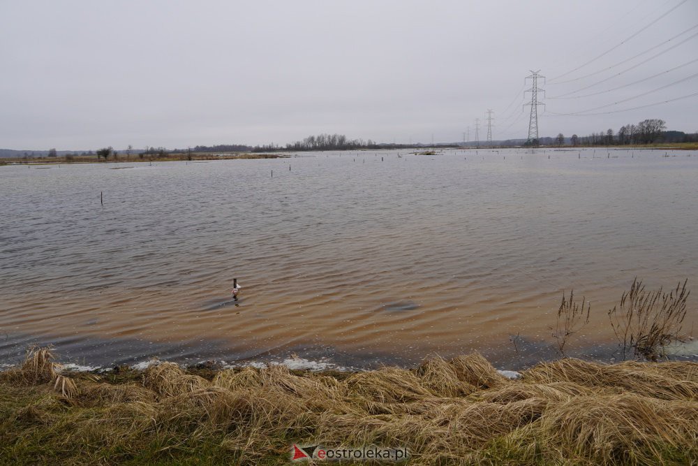 Rozlewiska rzeki Omulew w miejscowości Gleb [01.03.2021] - zdjęcie #6 - eOstroleka.pl