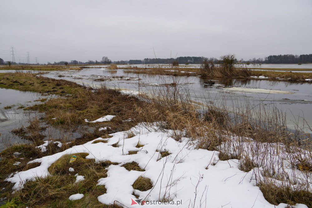 Rozlewiska rzeki Omulew w miejscowości Gleb [01.03.2021] - zdjęcie #12 - eOstroleka.pl
