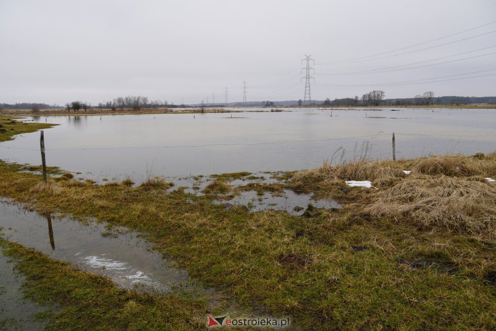 Rozlewiska rzeki Omulew w miejscowości Gleb [01.03.2021] - zdjęcie #15 - eOstroleka.pl
