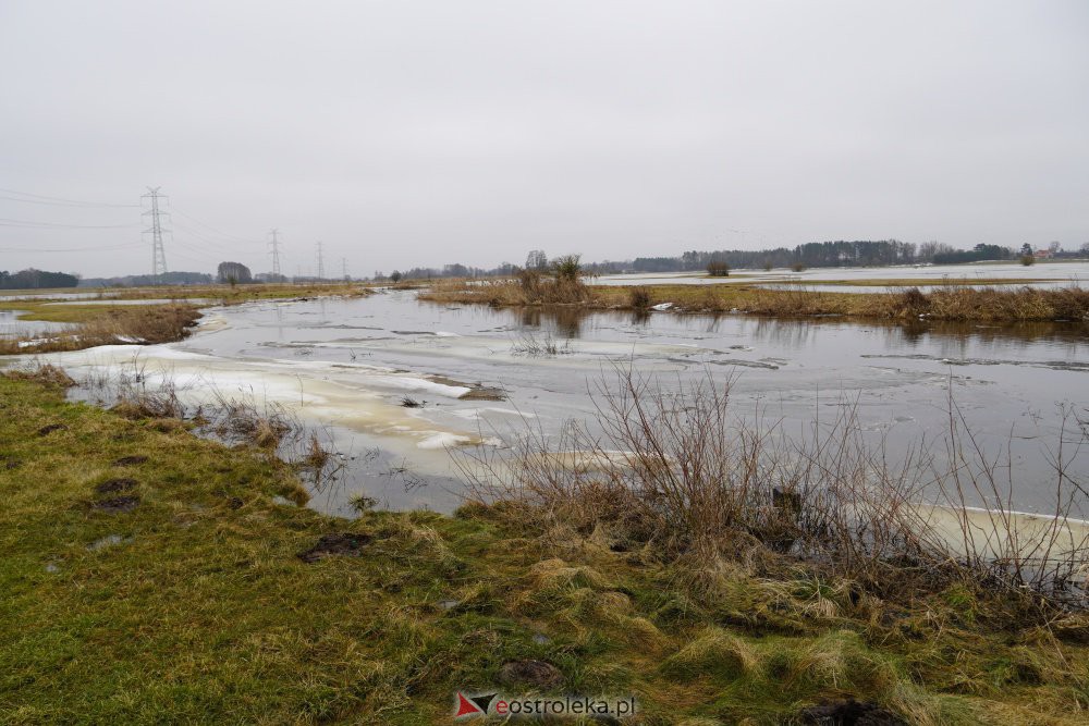 Rozlewiska rzeki Omulew w miejscowości Gleb [01.03.2021] - zdjęcie #16 - eOstroleka.pl