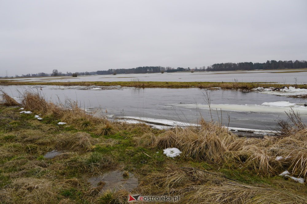 Rozlewiska rzeki Omulew w miejscowości Gleb [01.03.2021] - zdjęcie #23 - eOstroleka.pl