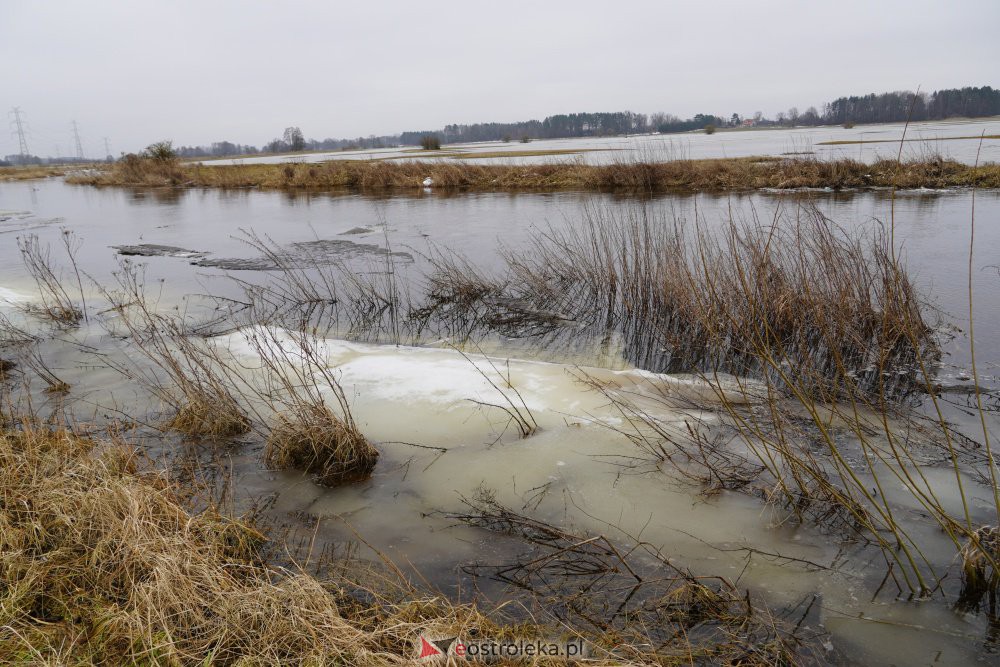 Rozlewiska rzeki Omulew w miejscowości Gleb [01.03.2021] - zdjęcie #27 - eOstroleka.pl