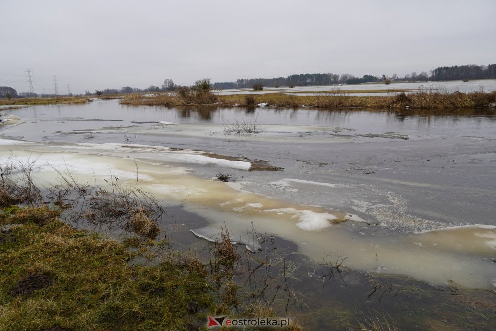 Rozlewiska rzeki Omulew w miejscowości Gleb [01.03.2021] - zdjęcie #28 - eOstroleka.pl