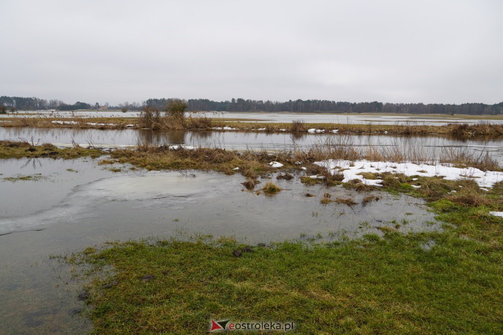 Rozlewiska rzeki Omulew w miejscowości Gleb [01.03.2021] - zdjęcie #32 - eOstroleka.pl