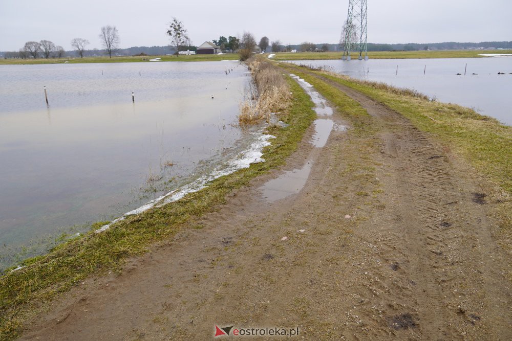 Rozlewiska rzeki Omulew w miejscowości Gleb [01.03.2021] - zdjęcie #34 - eOstroleka.pl