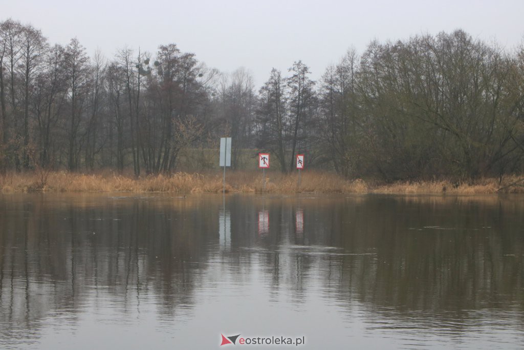 Narew w Ostrołęce przestała gwałtownie przybierać [04.03.2021] - zdjęcie #21 - eOstroleka.pl