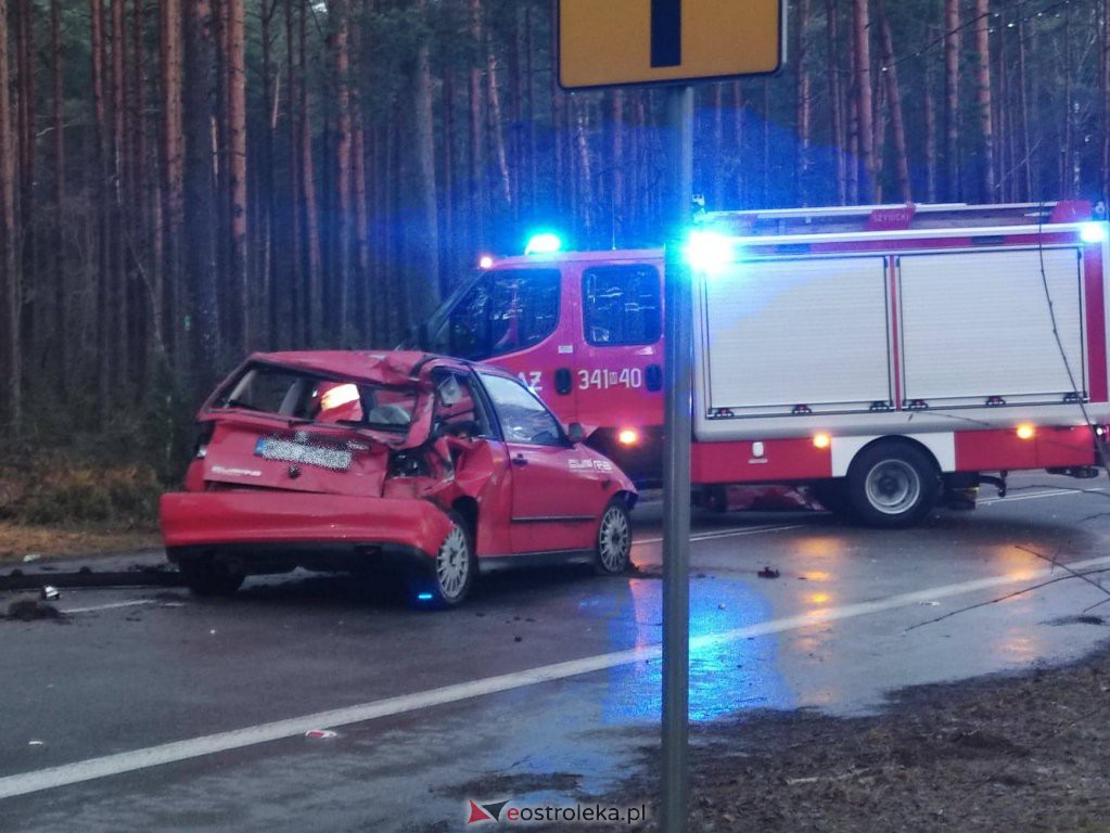 Śmiertelny wypadek na lokalnej drodze. 35-latek zginął na miejscu [12.03.2021] - zdjęcie #1 - eOstroleka.pl