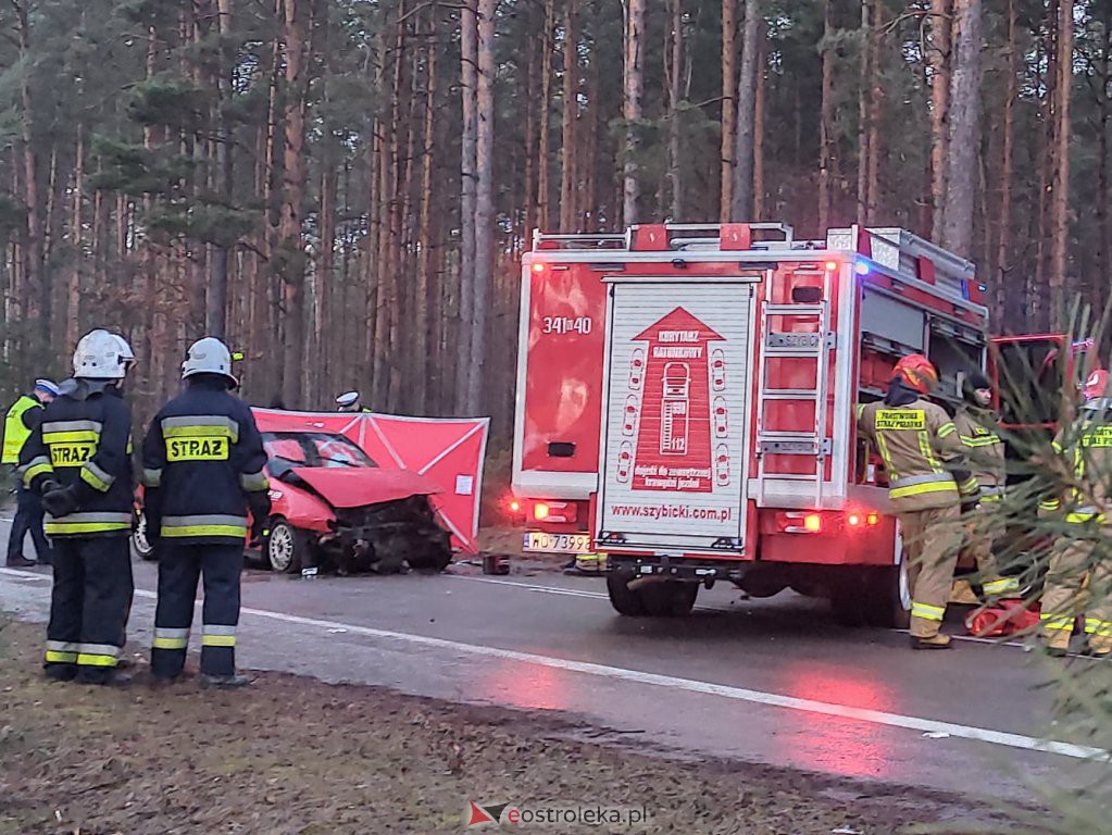 Śmiertelny wypadek na lokalnej drodze. 35-latek zginął na miejscu [12.03.2021] - zdjęcie #12 - eOstroleka.pl