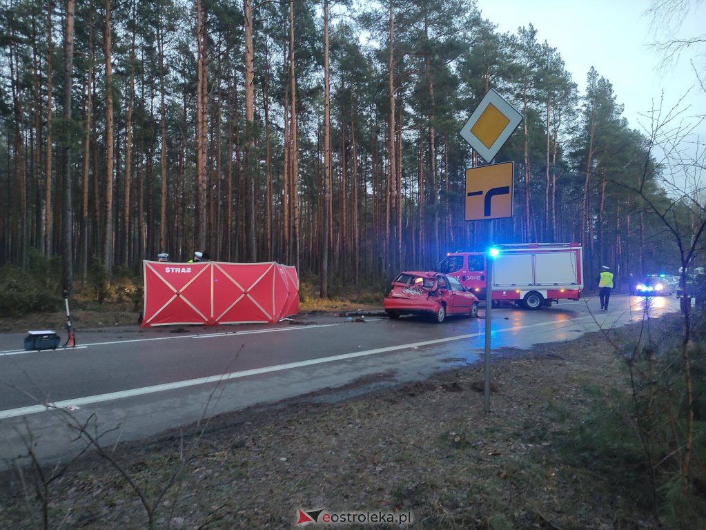 Śmiertelny wypadek na lokalnej drodze. 35-latek zginął na miejscu [12.03.2021] - zdjęcie #11 - eOstroleka.pl