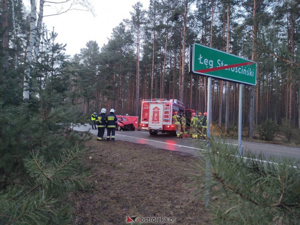 Śmiertelny wypadek na lokalnej drodze. 35-latek zginął na miejscu [12.03.2021] - zdjęcie #10 - eOstroleka.pl