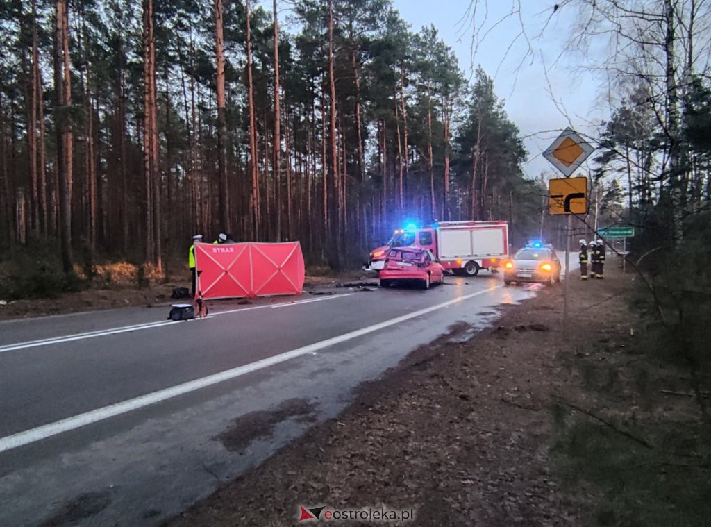 Śmiertelny wypadek na lokalnej drodze. 35-latek zginął na miejscu [12.03.2021] - zdjęcie #10 - eOstroleka.pl