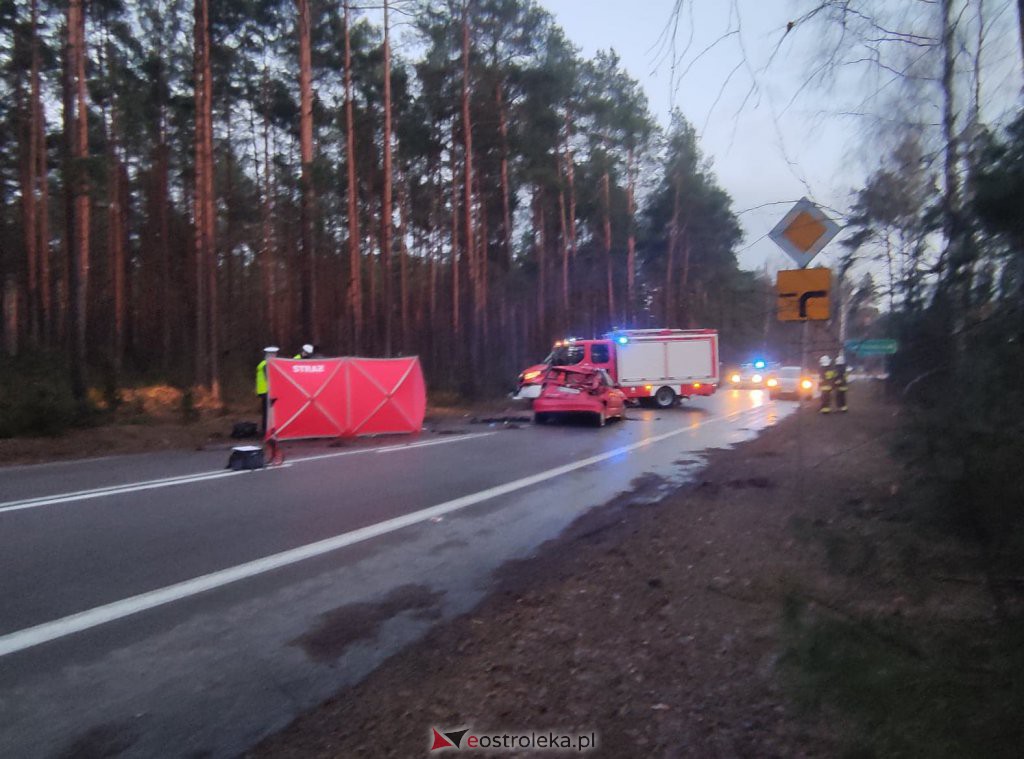 Śmiertelny wypadek na lokalnej drodze. 35-latek zginął na miejscu [12.03.2021] - zdjęcie #13 - eOstroleka.pl