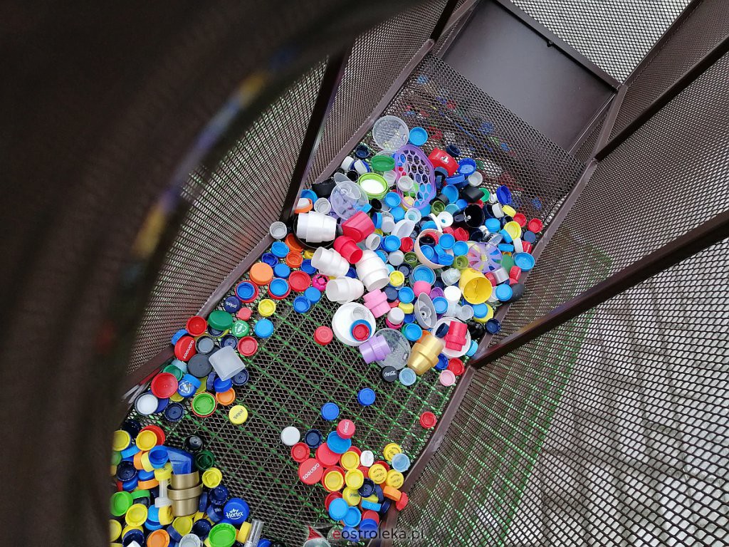 Eko niedźwiedź przed ostrołęckim ratuszem. Można „nakarmić” go nakrętkami [19.03.2021] - zdjęcie #3 - eOstroleka.pl