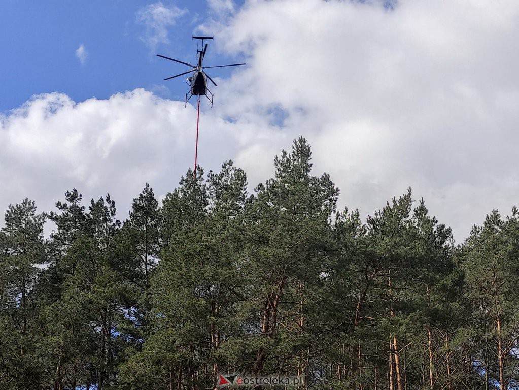 Przycinanie drzew z helikoptera [22.03.2021] - zdjęcie #4 - eOstroleka.pl