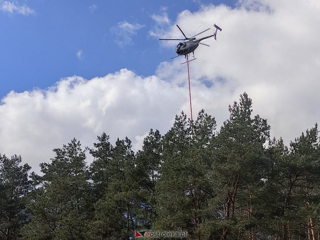 Przycinanie drzew z helikoptera [22.03.2021] - zdjęcie #10 - eOstroleka.pl
