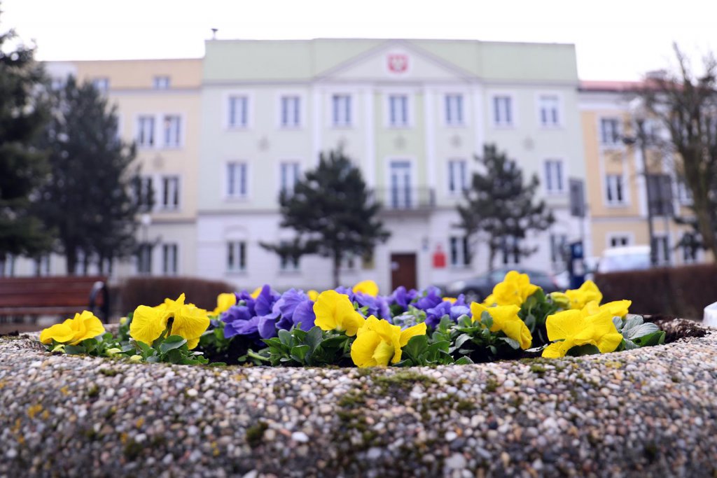 Wielkanocne ozdoby także na ulicach Ostrołęki [29.03.2021] - zdjęcie #4 - eOstroleka.pl