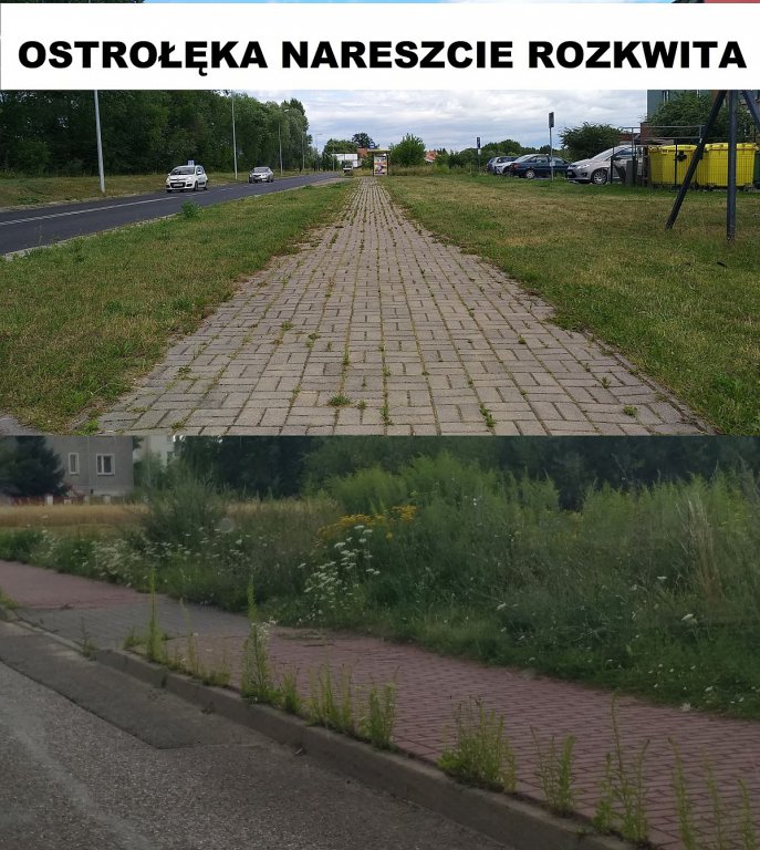 Prima Aprilis 2021: Memy z lokalnym wątkiem [ZDJĘCIA] - zdjęcie #3 - eOstroleka.pl