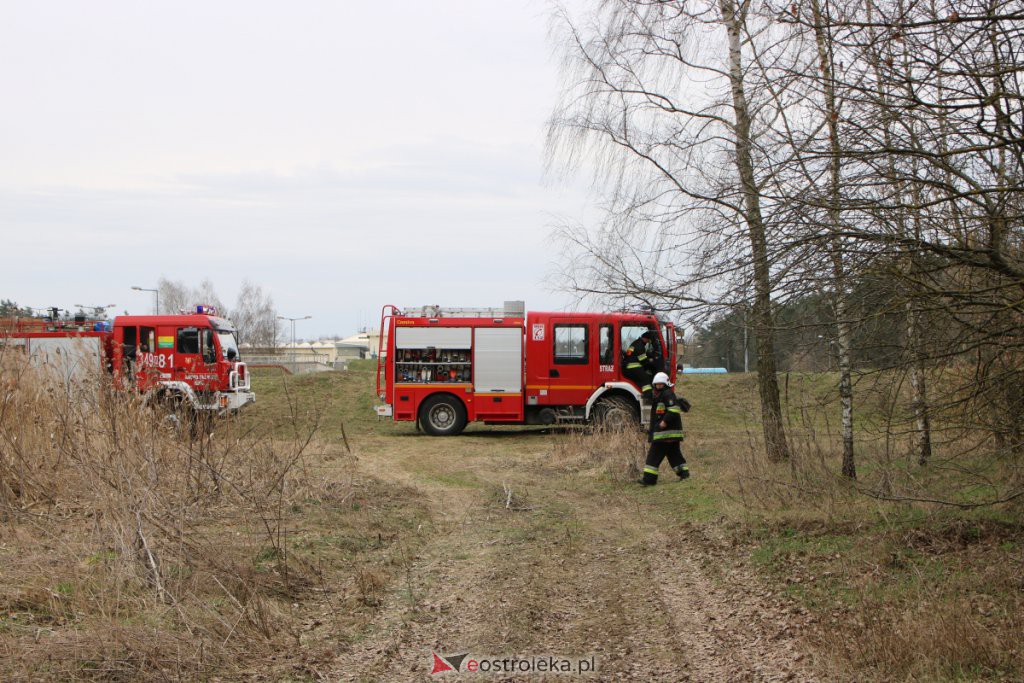 Pożar przy miejskiej oczyszczalni ścieków [05.04.2021] - zdjęcie #1 - eOstroleka.pl