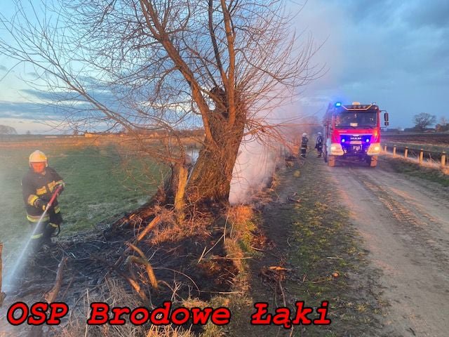 Pożar w miejscowości Gutocha [13.04.2021] - zdjęcie #6 - eOstroleka.pl