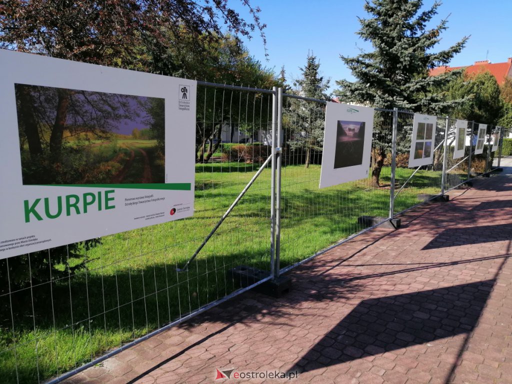 Wystawa &bdquo;Kurpie&rdquo; już dostępna na placu Bema [11.05.2021] - zdjęcie #4 - eOstroleka.pl