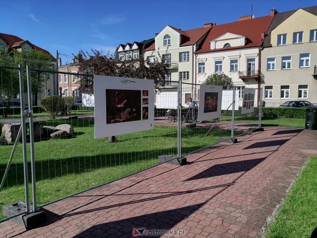 Wystawa „Kurpie” już dostępna na placu Bema [11.05.2021] - zdjęcie #13 - eOstroleka.pl