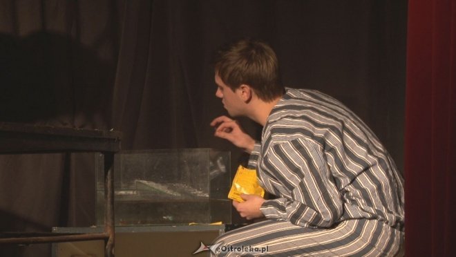Spektakl Janusza Koryla w wykonaniu Grupy Teatralnej “Alternatywa” pt. Cela (ZDJĘCIA) - zdjęcie #12 - eOstroleka.pl