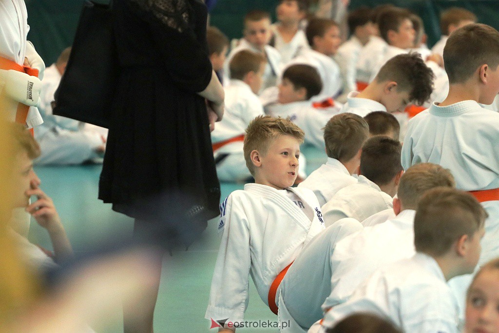Mistrzostwa MKKK Shinkyokushin [29.05.2021 r.] - zdjęcie #66 - eOstroleka.pl