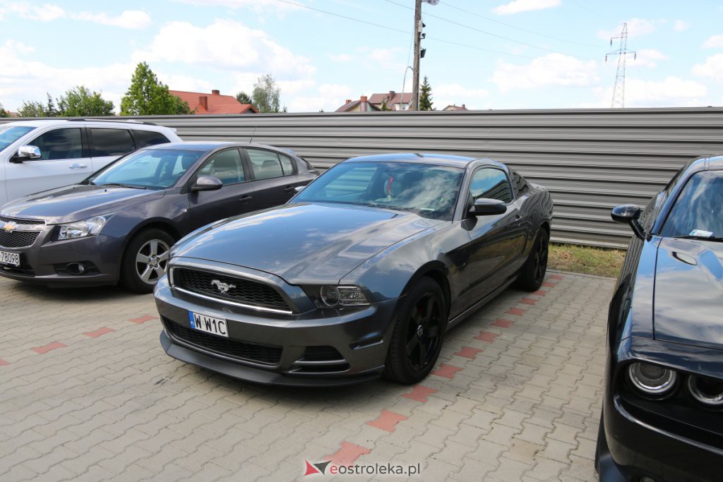 Zlot fan&oacute;w amerykańskiej motoryzacji [30.05.2021] - zdjęcie #32 - eOstroleka.pl