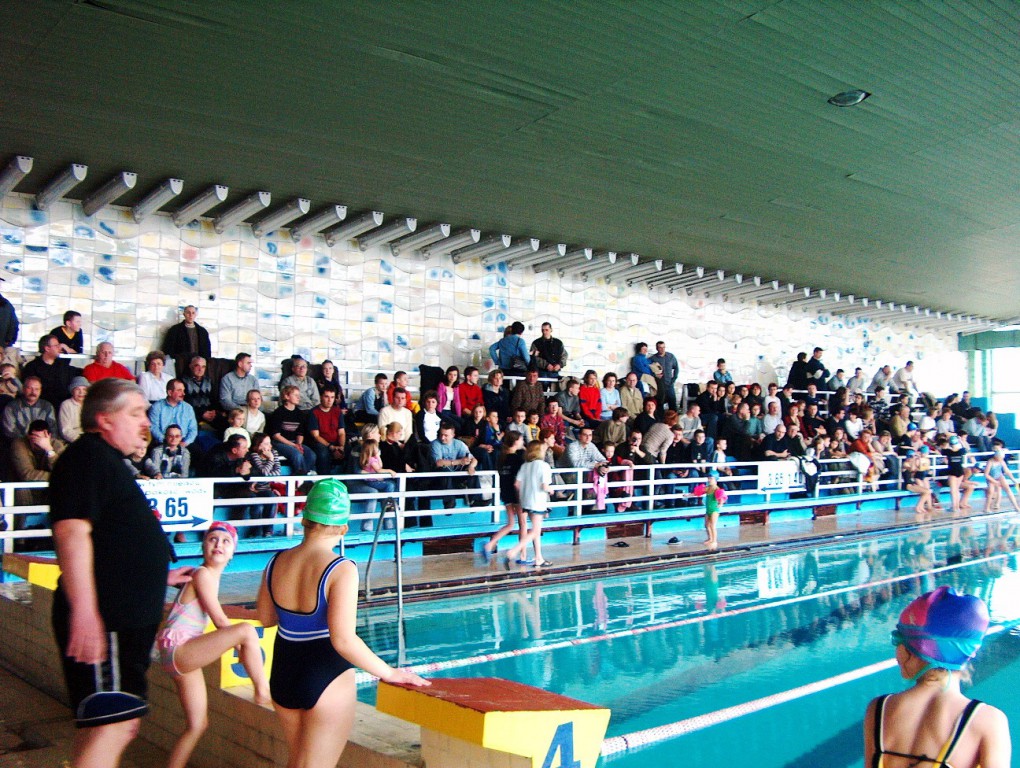 Zawody pływackie - 2004 r. - zdjęcie #6 - eOstroleka.pl