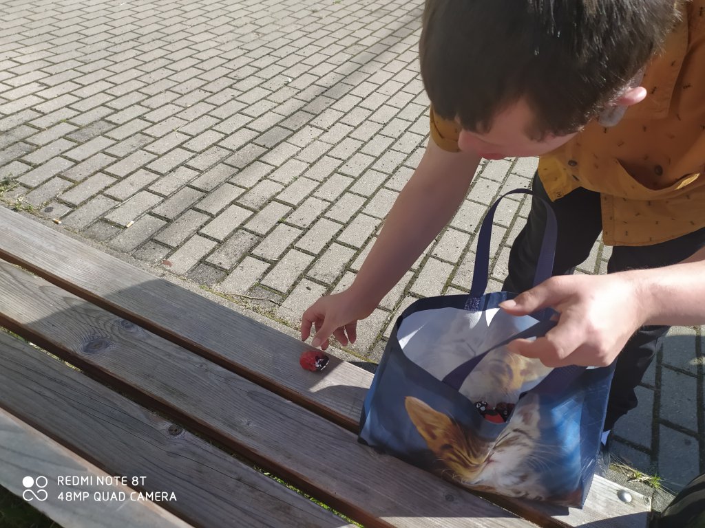 SOSW w akcji kamyczki [14.06.2021] - zdjęcie #17 - eOstroleka.pl