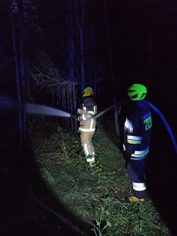 Po wczorajszej burzy w regionie strażacy gasili pożary i usuwali drzewa blokujące drogi [23.06.2021] - zdjęcie #6 - eOstroleka.pl