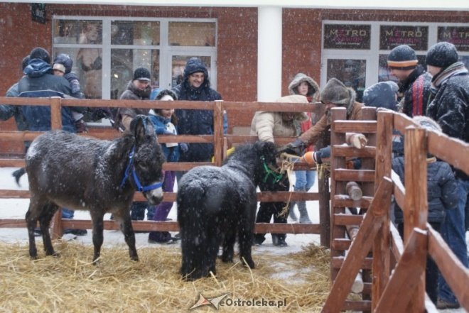 Miejska Wigilia(18-12-2010) - zdjęcie #39 - eOstroleka.pl