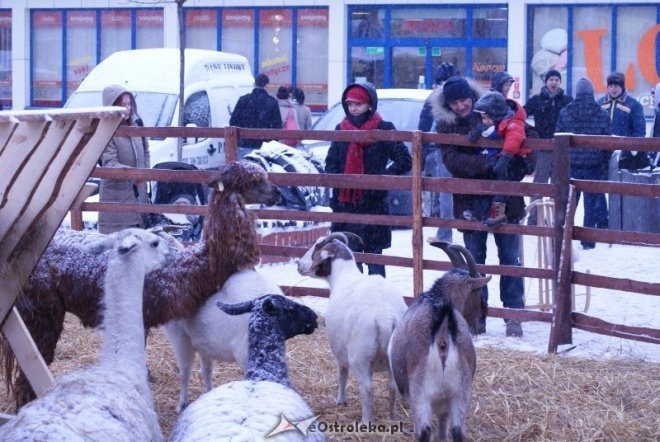 Miejska Wigilia(18-12-2010) - zdjęcie #5 - eOstroleka.pl