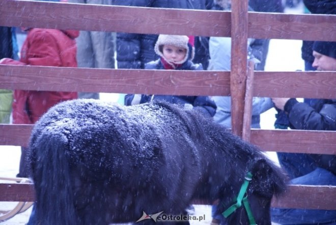 Miejska Wigilia(18-12-2010) - zdjęcie #4 - eOstroleka.pl