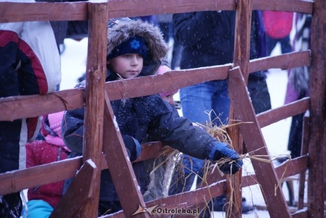 Miejska Wigilia(18-12-2010) - zdjęcie #3 - eOstroleka.pl