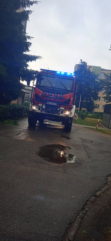 Walka ze skutkami nawałnicy [24.06.2021] - zdjęcie #11 - eOstroleka.pl