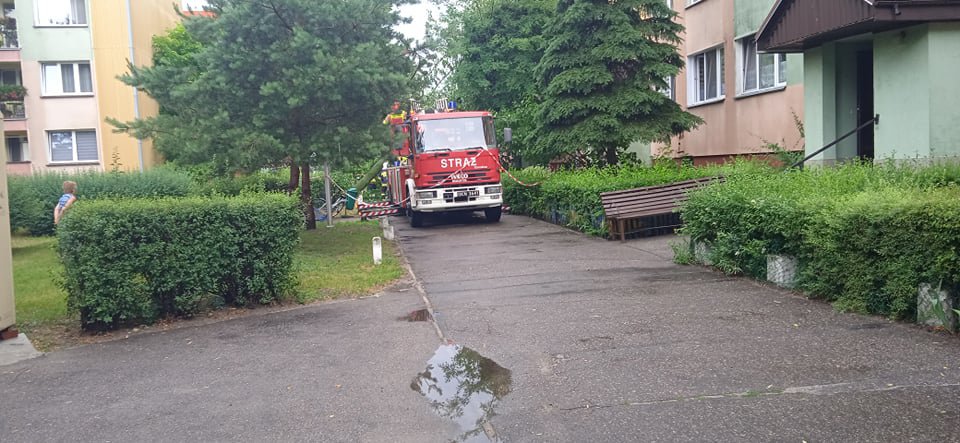 Walka ze skutkami nawałnicy [24.06.2021] - zdjęcie #5 - eOstroleka.pl