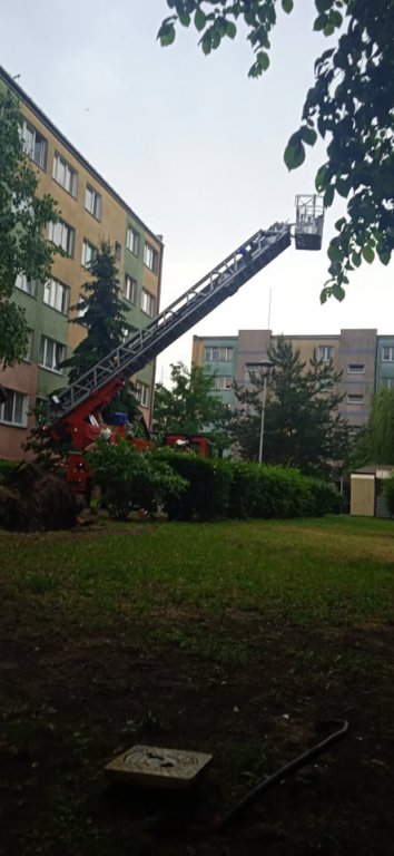 Walka ze skutkami nawałnicy [24.06.2021] - zdjęcie #15 - eOstroleka.pl