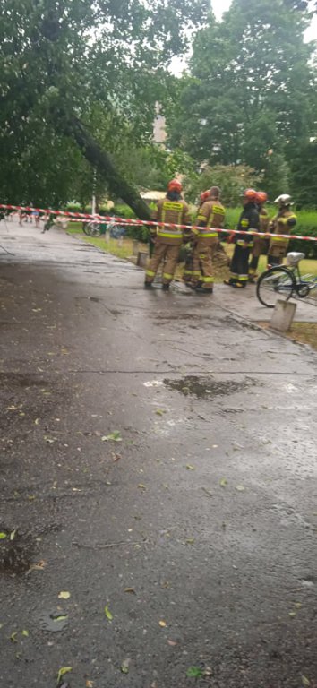 Walka ze skutkami nawałnicy [24.06.2021] - zdjęcie #12 - eOstroleka.pl